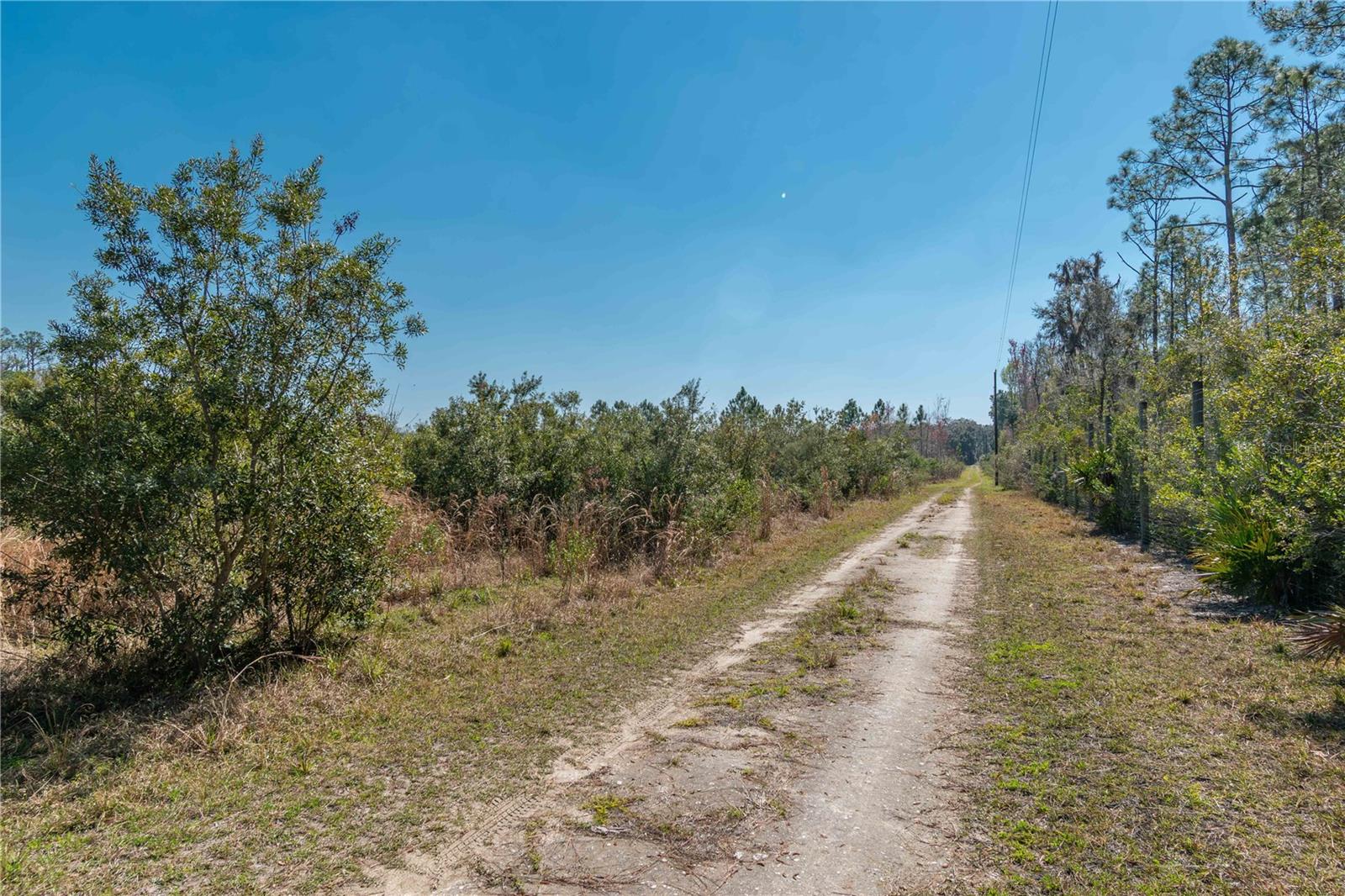 21665 SE 177TH AVE, HAWTHORNE, FL, 32640