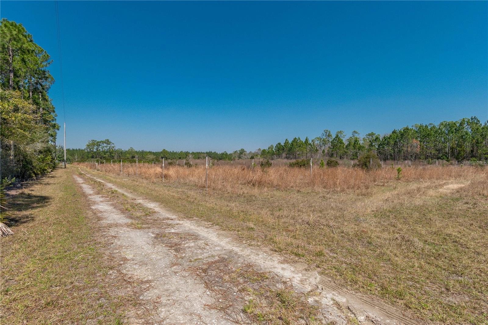 21665 SE 177TH AVE, HAWTHORNE, FL, 32640