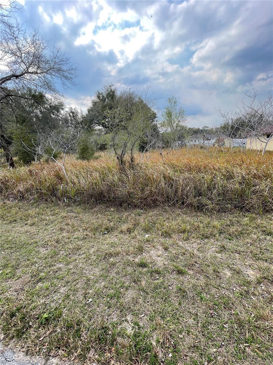 TBD DOGWOOD DR, OCALA, FL, 34472
