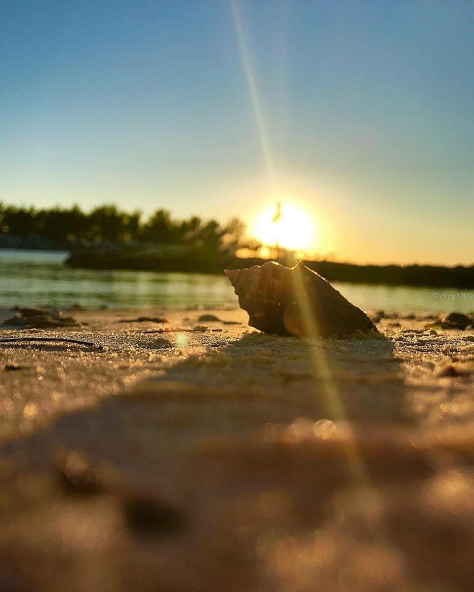 N6137480 Property Photo