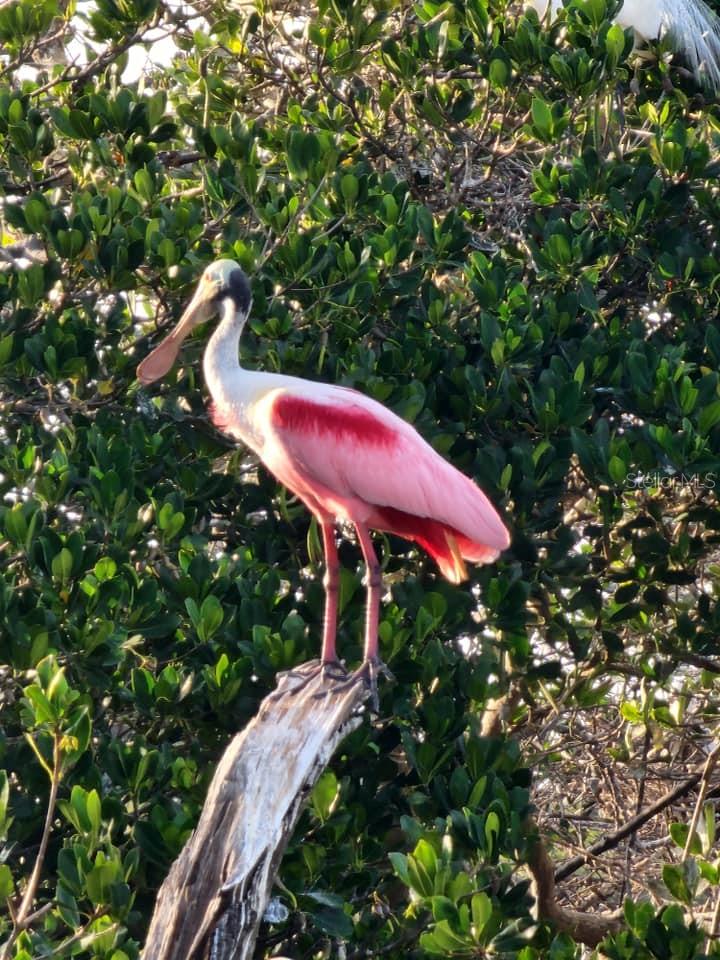 N6137480 Property Photo