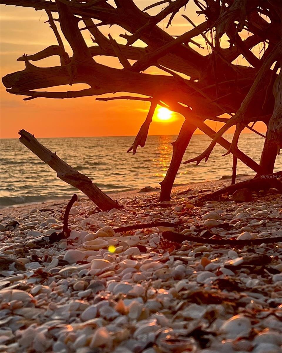 N6137480 Property Photo