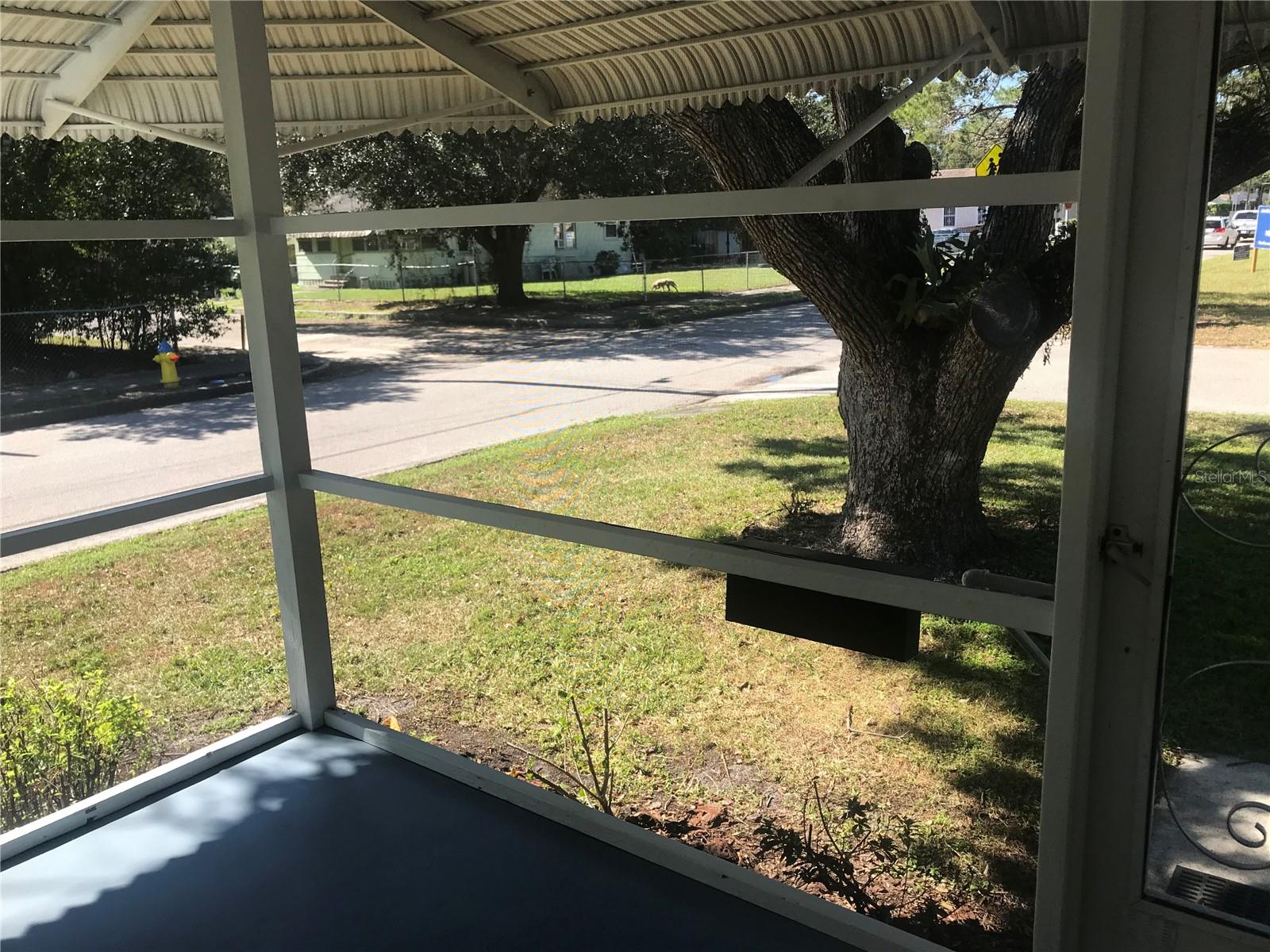 3001 N WOODROW AVE, TAMPA, FL, 33603
