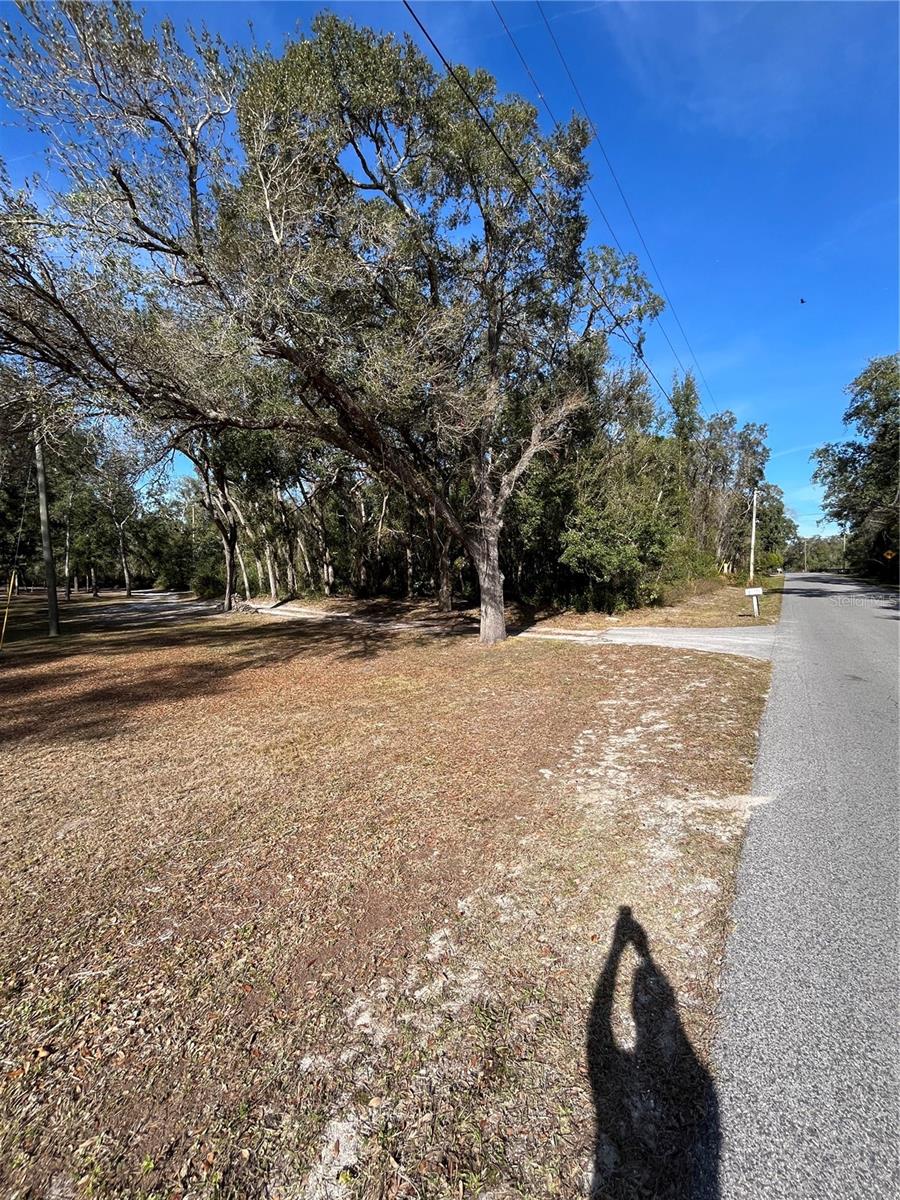 16347 ALBRIGHT RD, SPRING HILL, FL, 34610