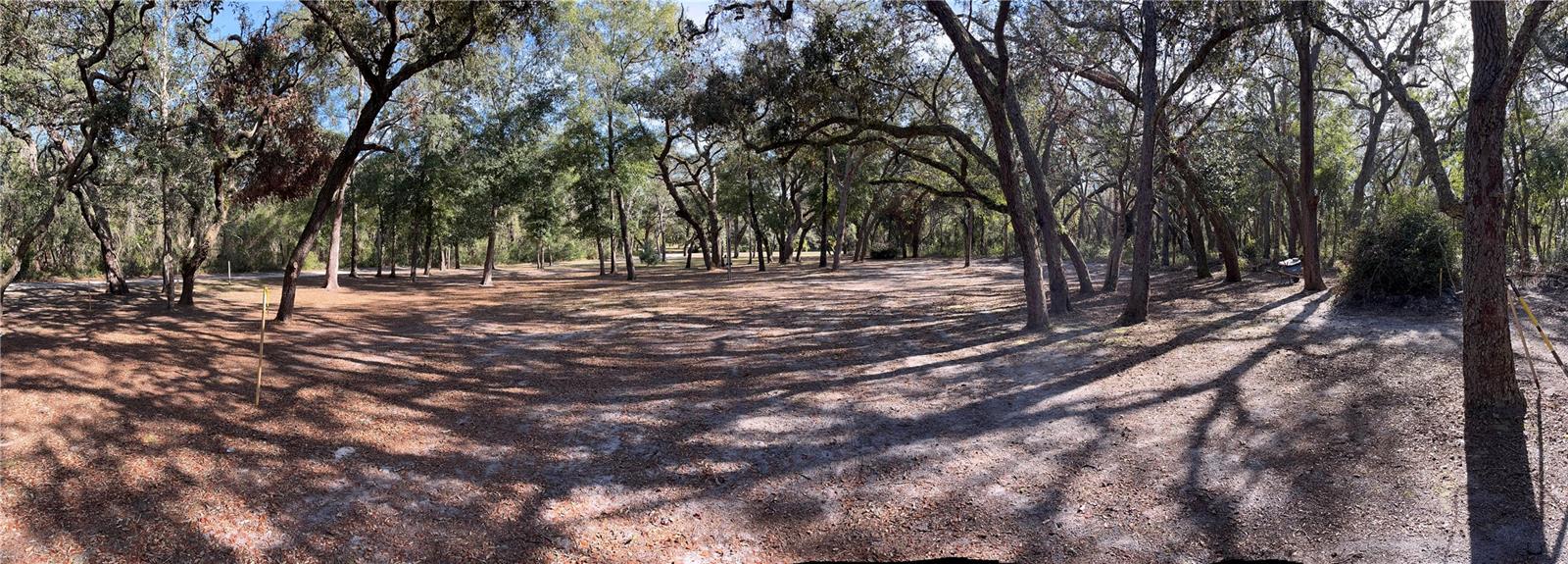 16347 ALBRIGHT RD, SPRING HILL, FL, 34610