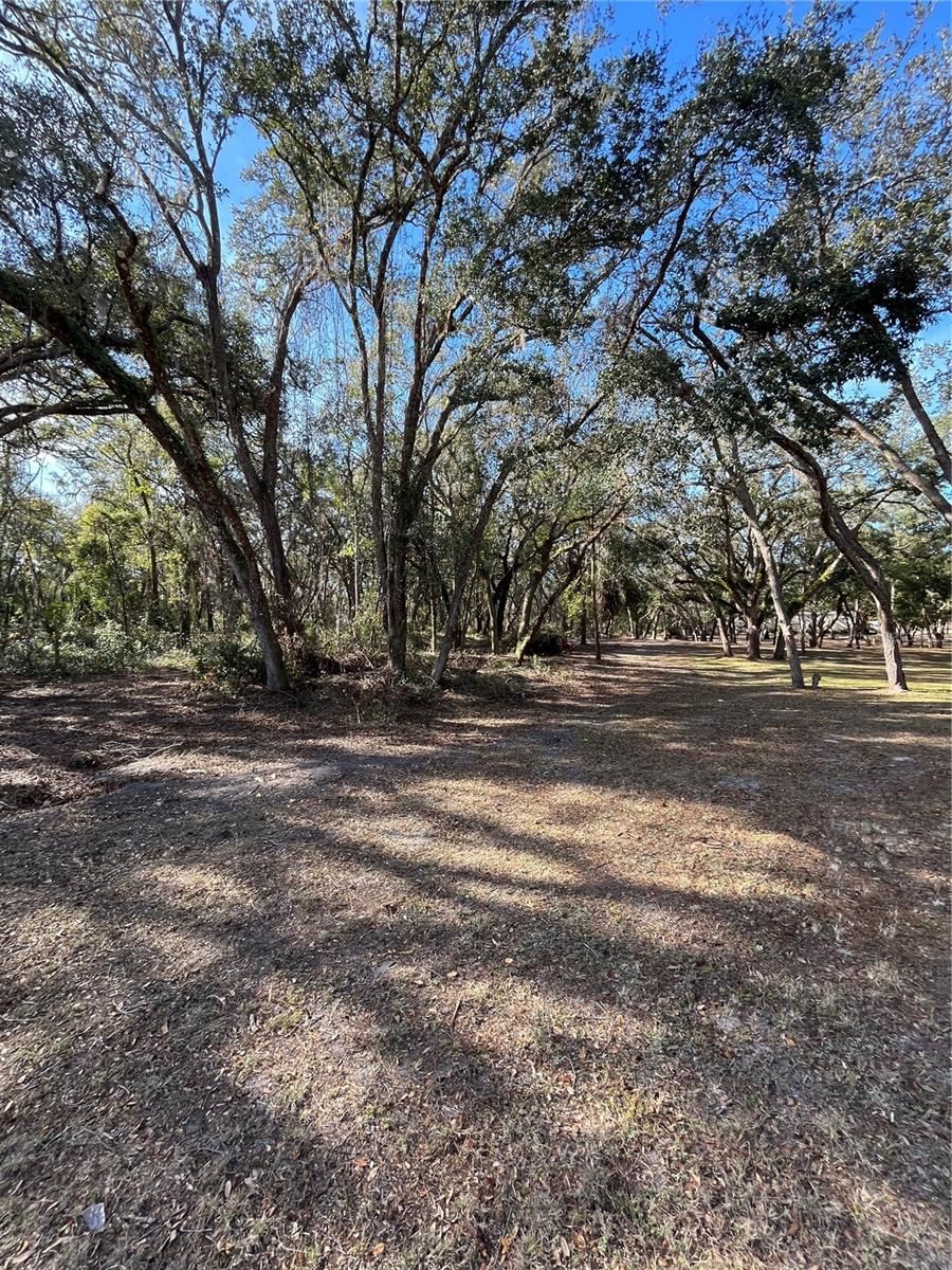 16347 ALBRIGHT RD, SPRING HILL, FL, 34610