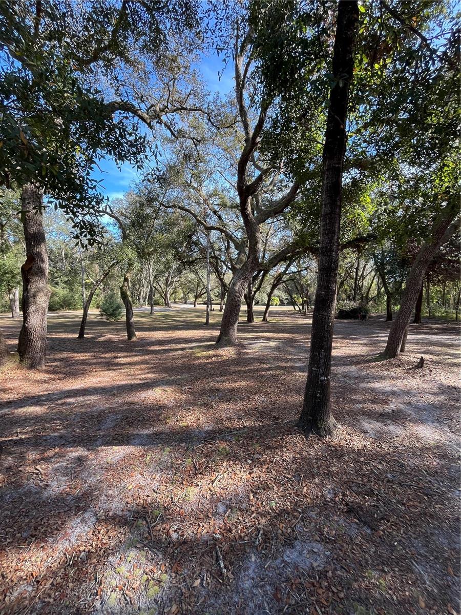 16347 ALBRIGHT RD, SPRING HILL, FL, 34610