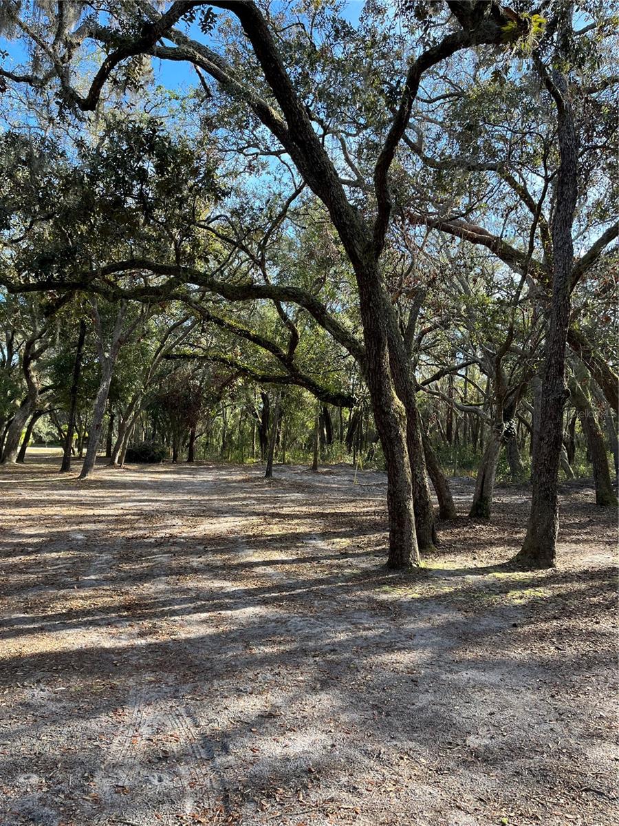 16347 ALBRIGHT RD, SPRING HILL, FL, 34610