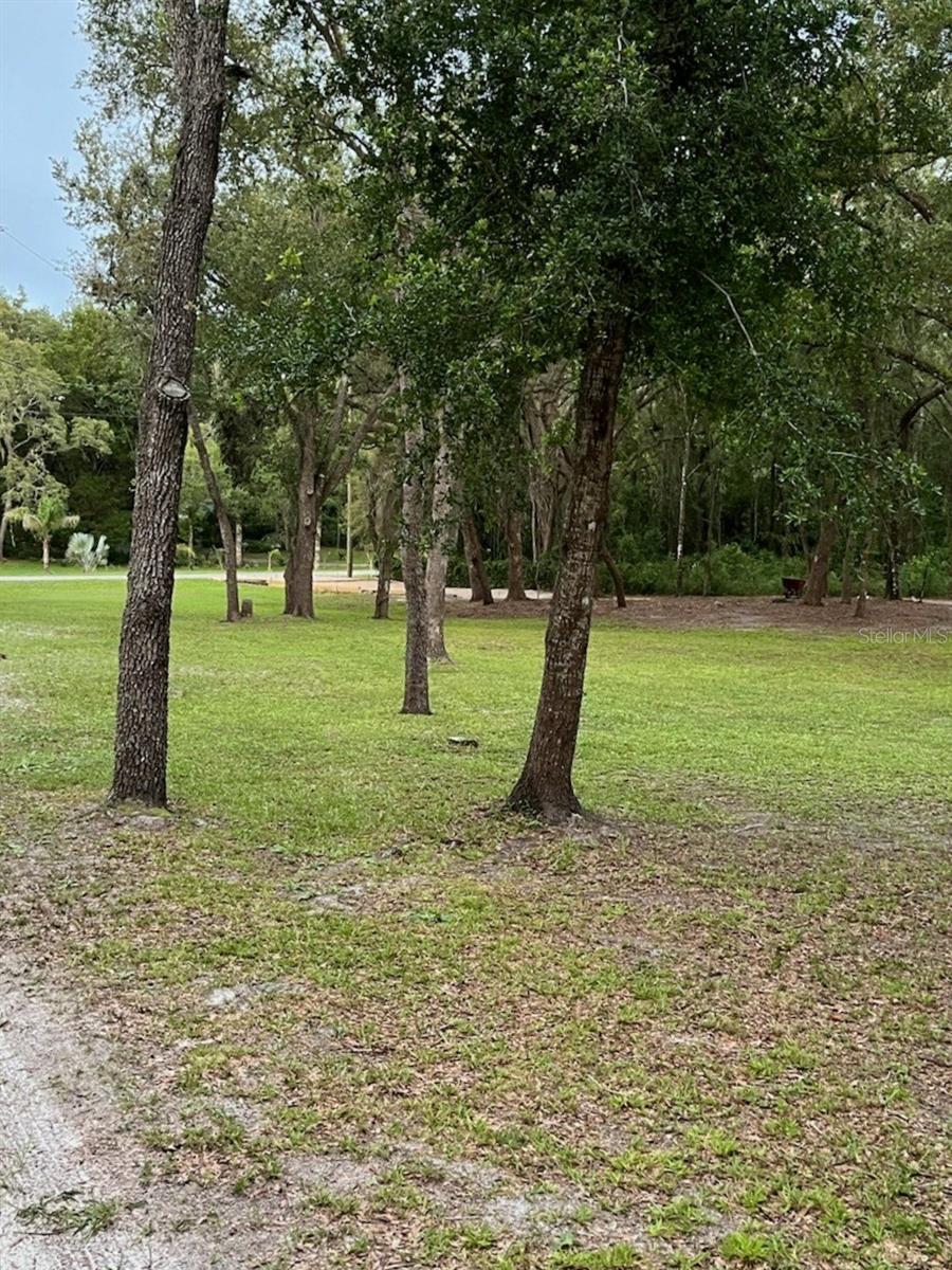 16347 ALBRIGHT RD, SPRING HILL, FL, 34610
