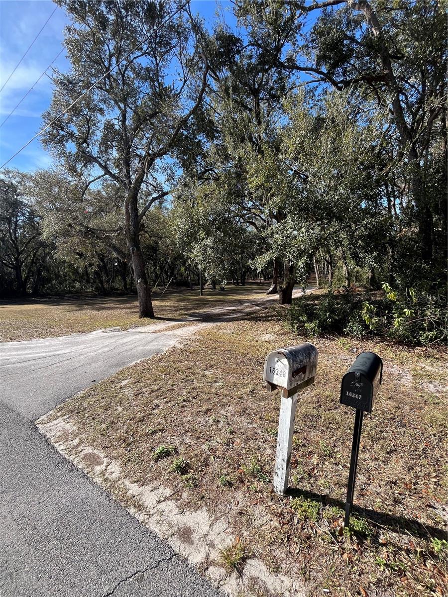 16347 ALBRIGHT RD, SPRING HILL, FL, 34610