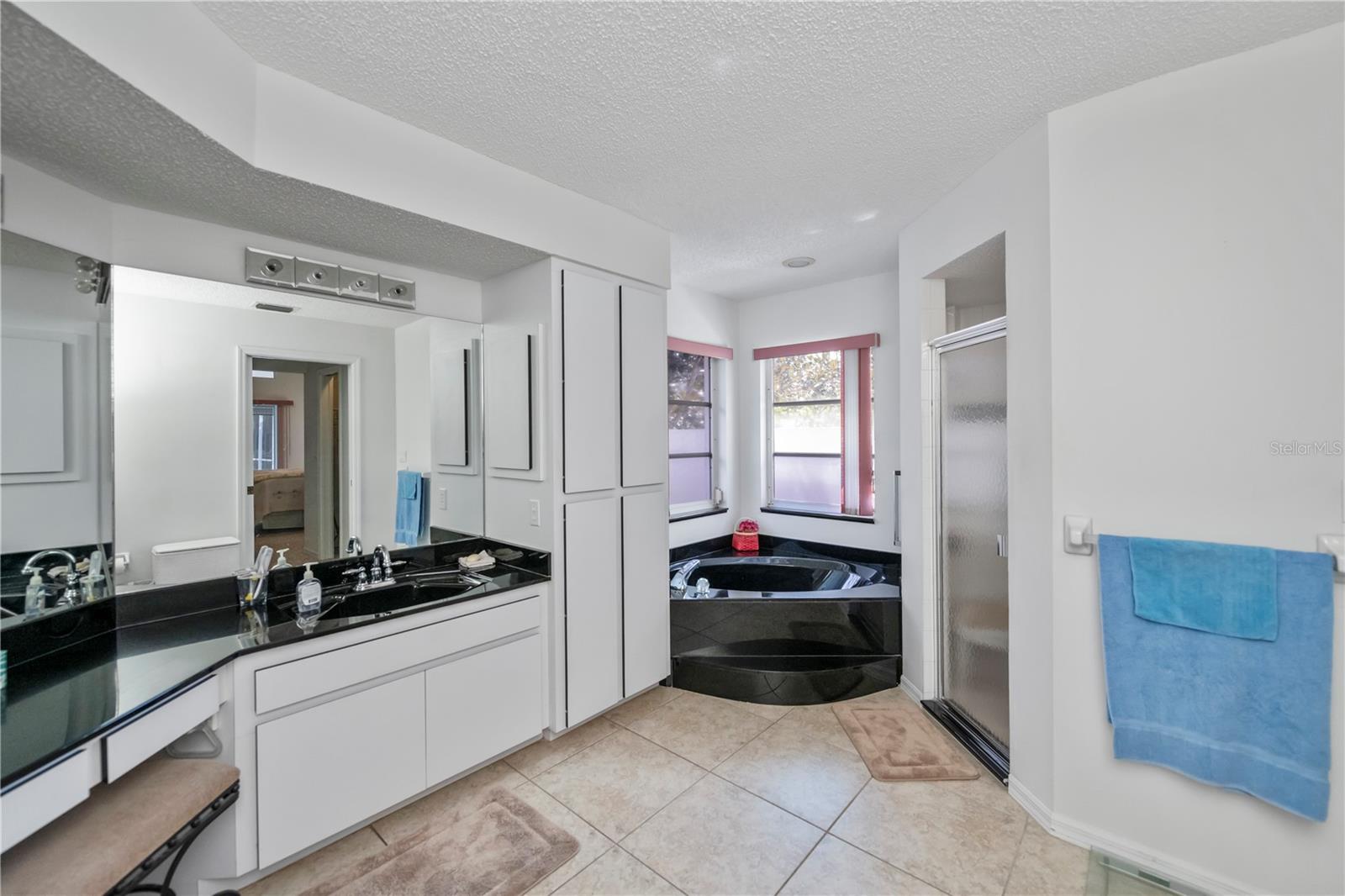 1169 PRESQUE ISLE DR, PORT CHARLOTTE, FL, 33952