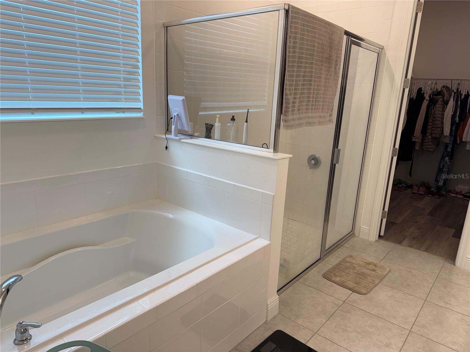 9846 EMERALD BERRY DR, WINTER GARDEN, FL, 34787