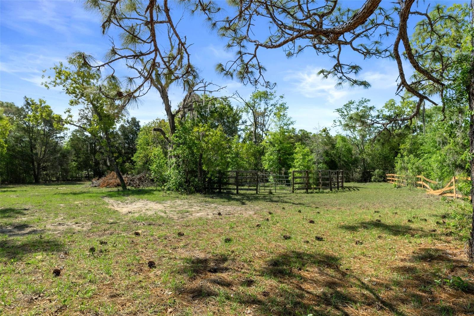 17324 DALBERG DR, SPRING HILL, FL, 34610