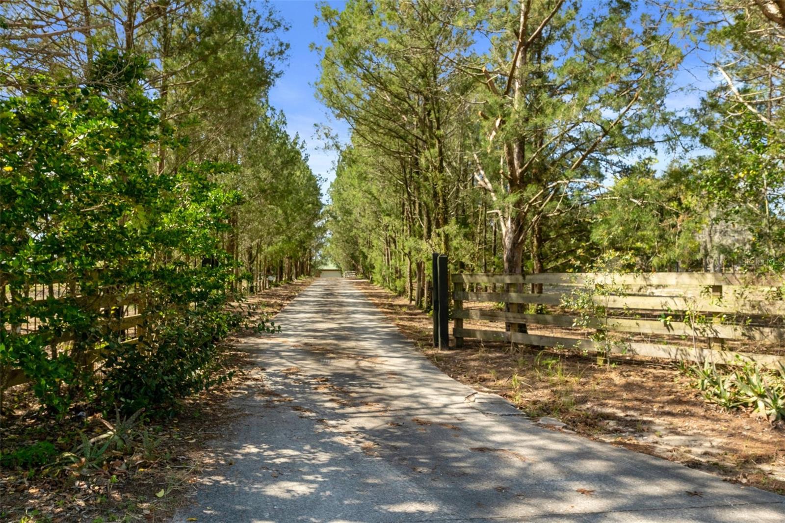 17324 DALBERG DR, SPRING HILL, FL, 34610