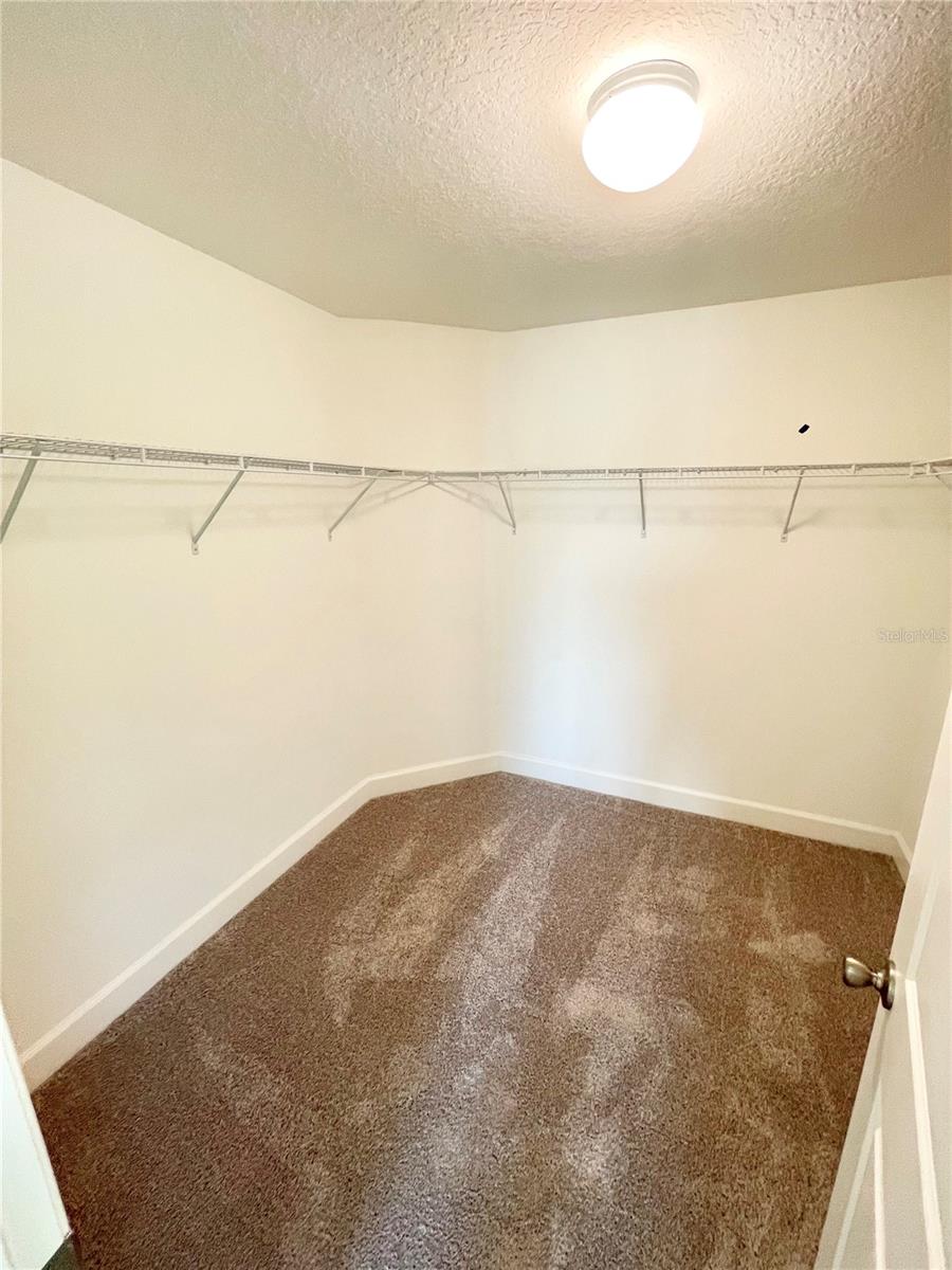 16595 CENTIPEDE ST, CLERMONT, FL, 34714