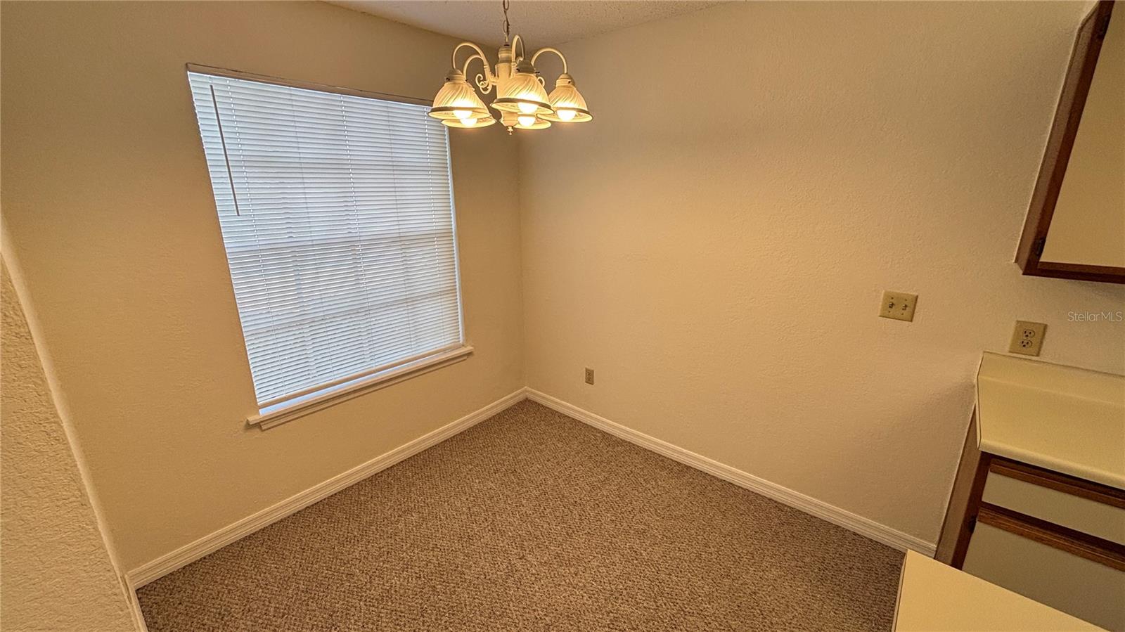 1039 S HIAWASSEE RD #2916, ORLANDO, FL, 32835