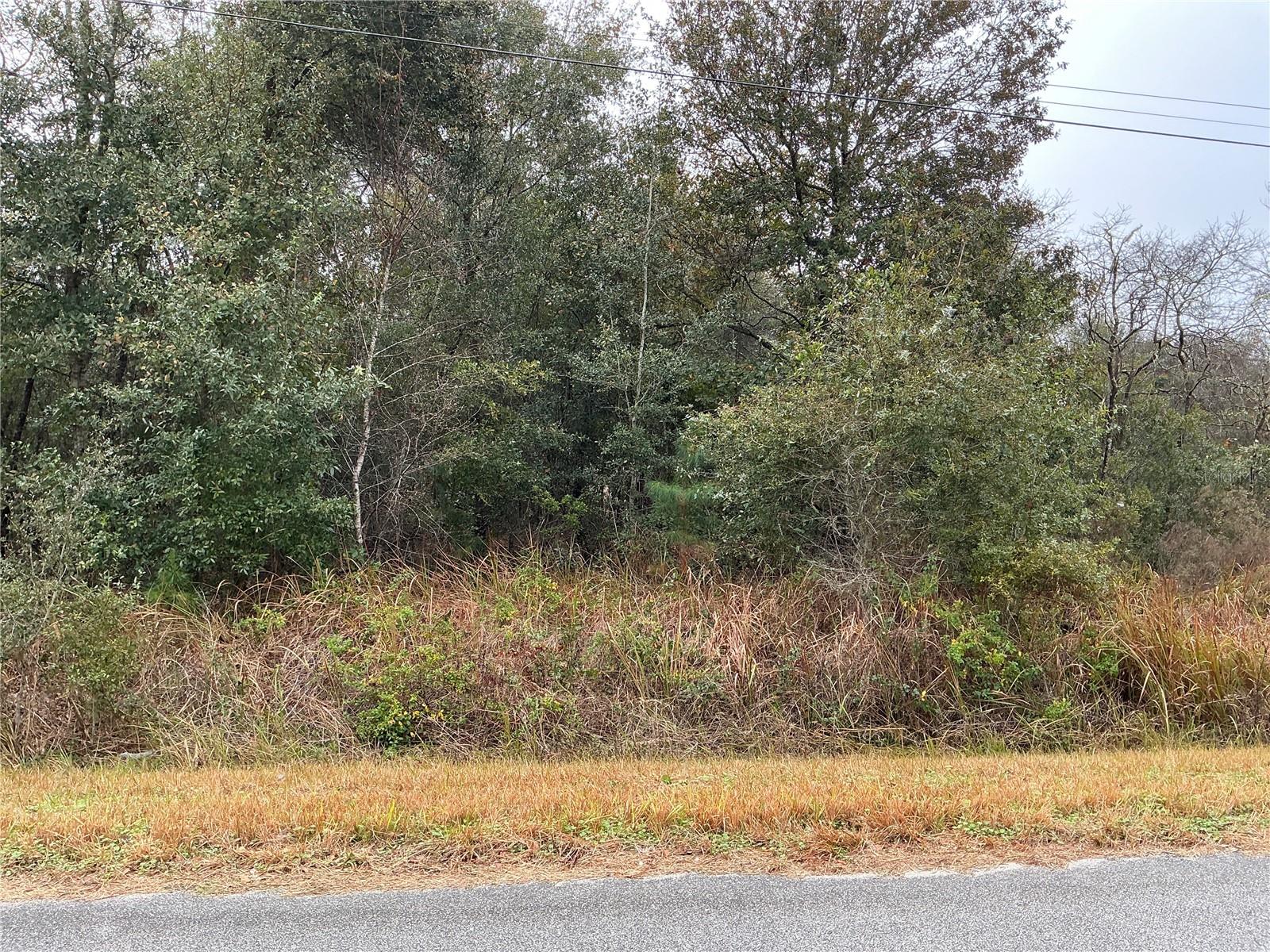 195 OAK LN, OCALA, FL, 34472