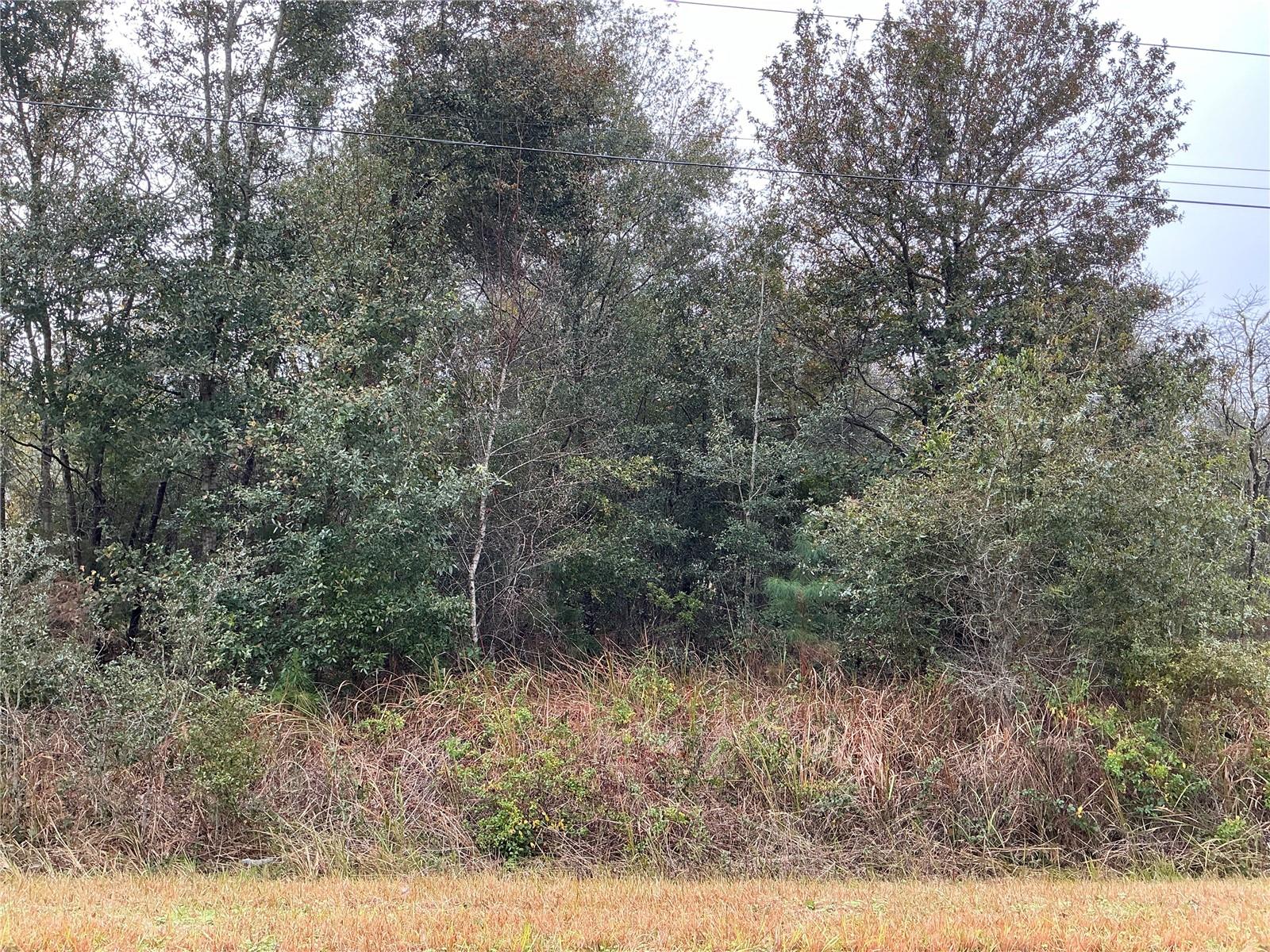 195 OAK LN, OCALA, FL, 34472