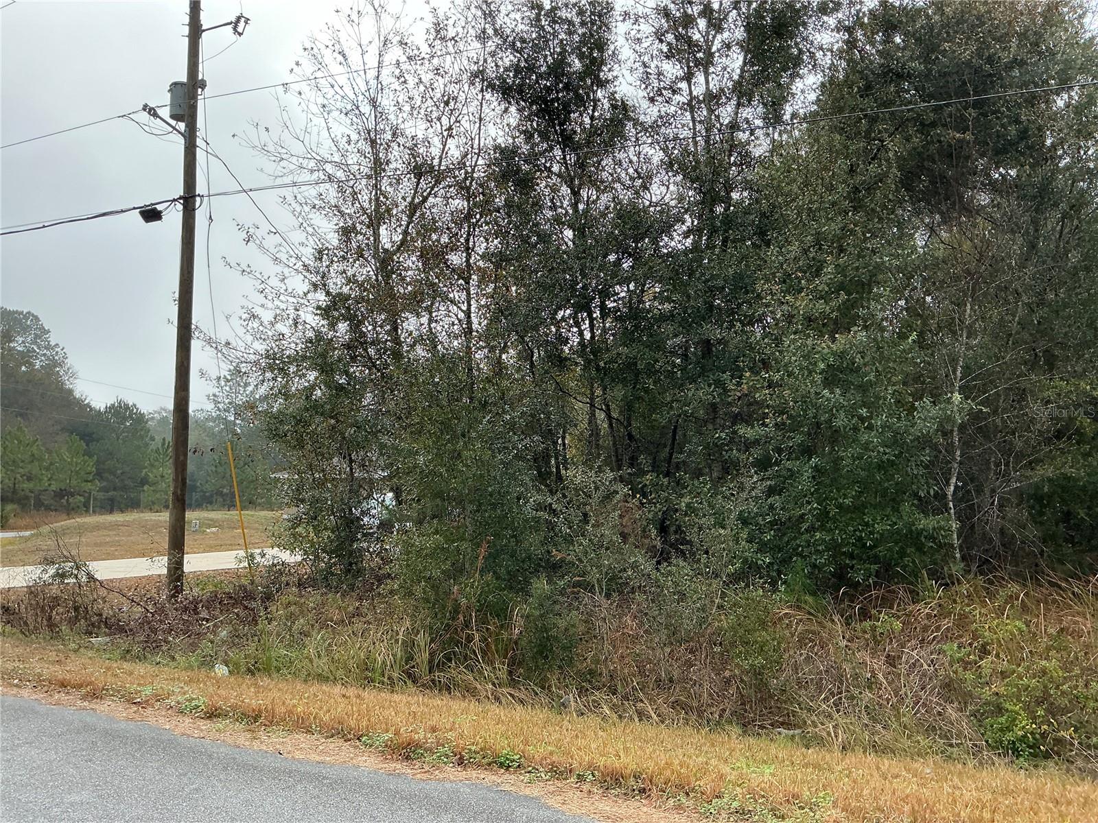195 OAK LN, OCALA, FL, 34472