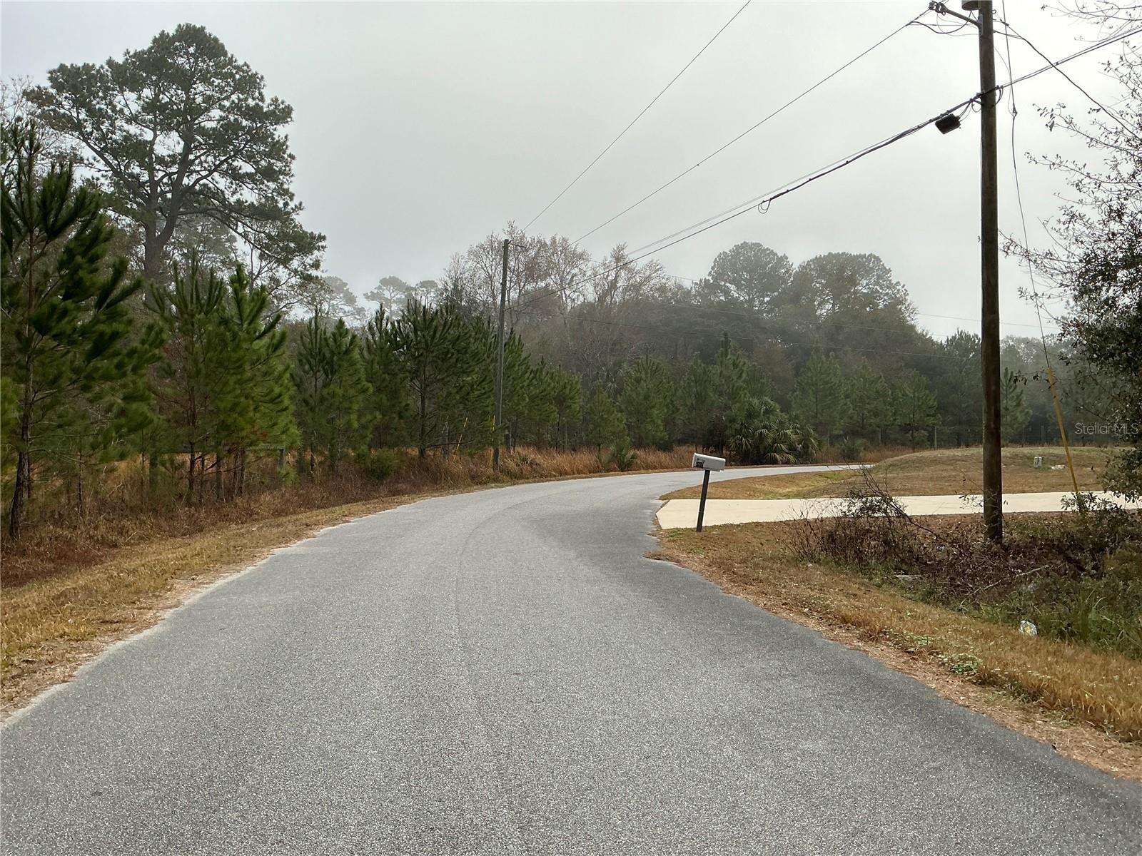 195 OAK LN, OCALA, FL, 34472