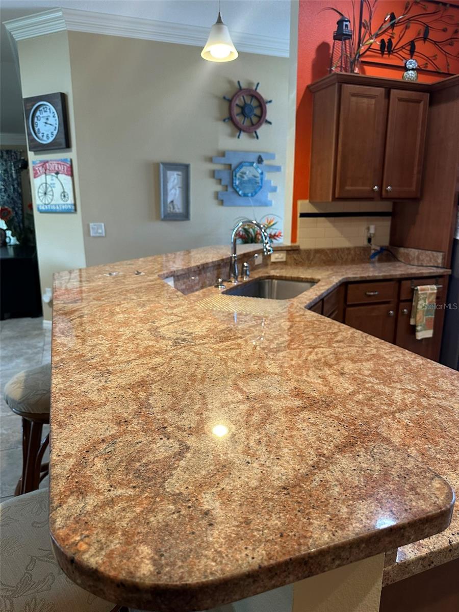 2082 VISION CT, THE VILLAGES, FL, 32163