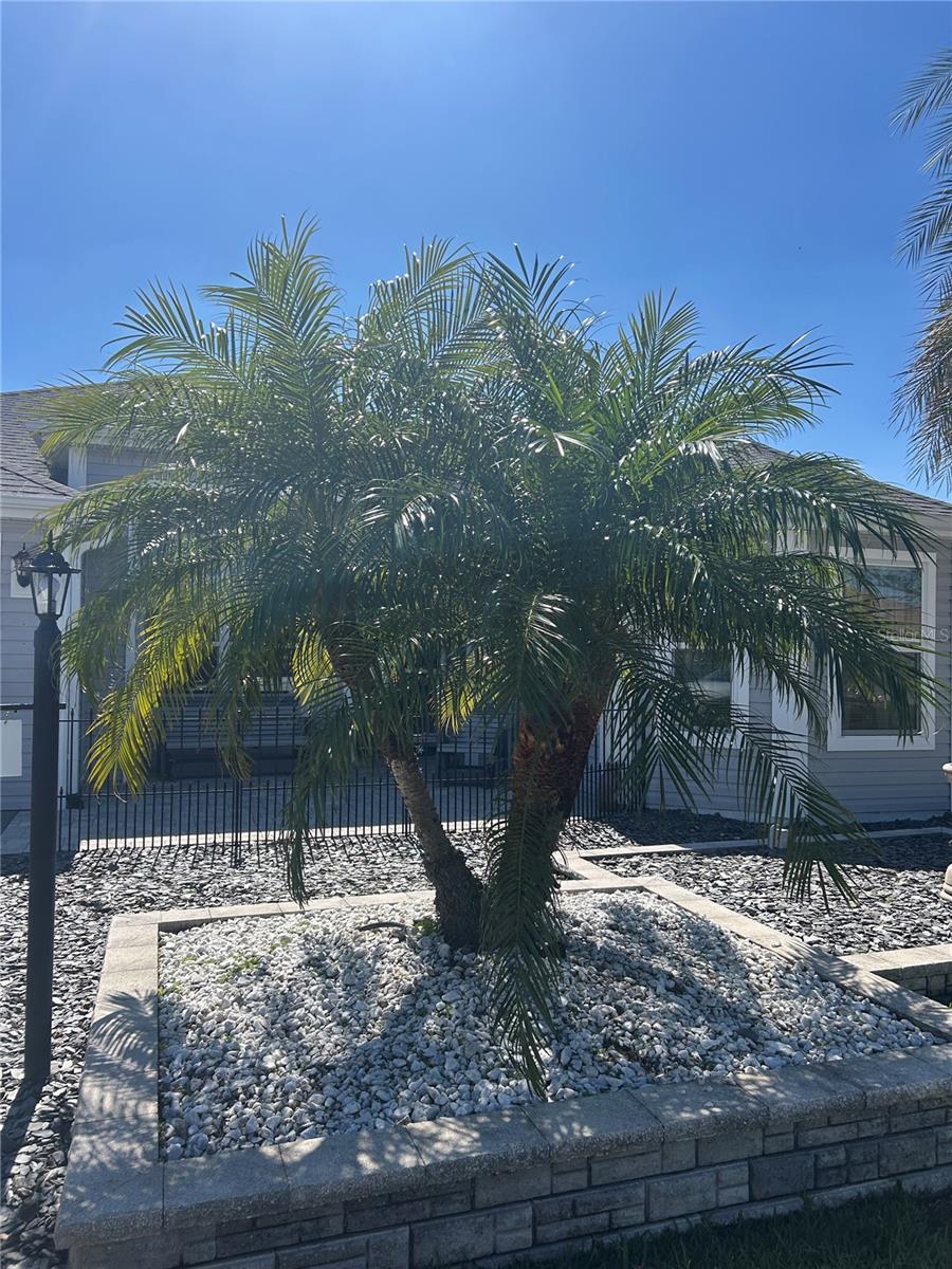 2082 VISION CT, THE VILLAGES, FL, 32163