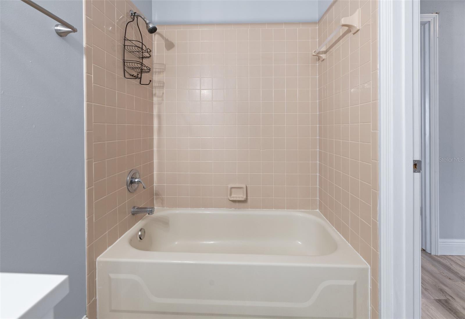 44 BURNING VIEW LN, PALM COAST, FL, 32137