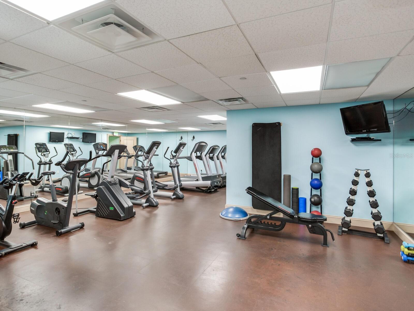 345 BAYSHORE BLVD #1511, TAMPA, FL, 33606