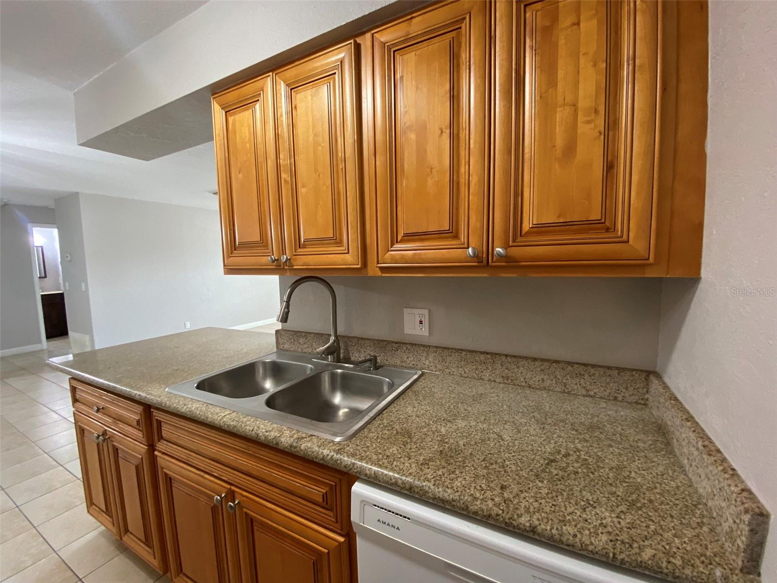 216 BERRY TREE PL #216, BRANDON, FL, 33510