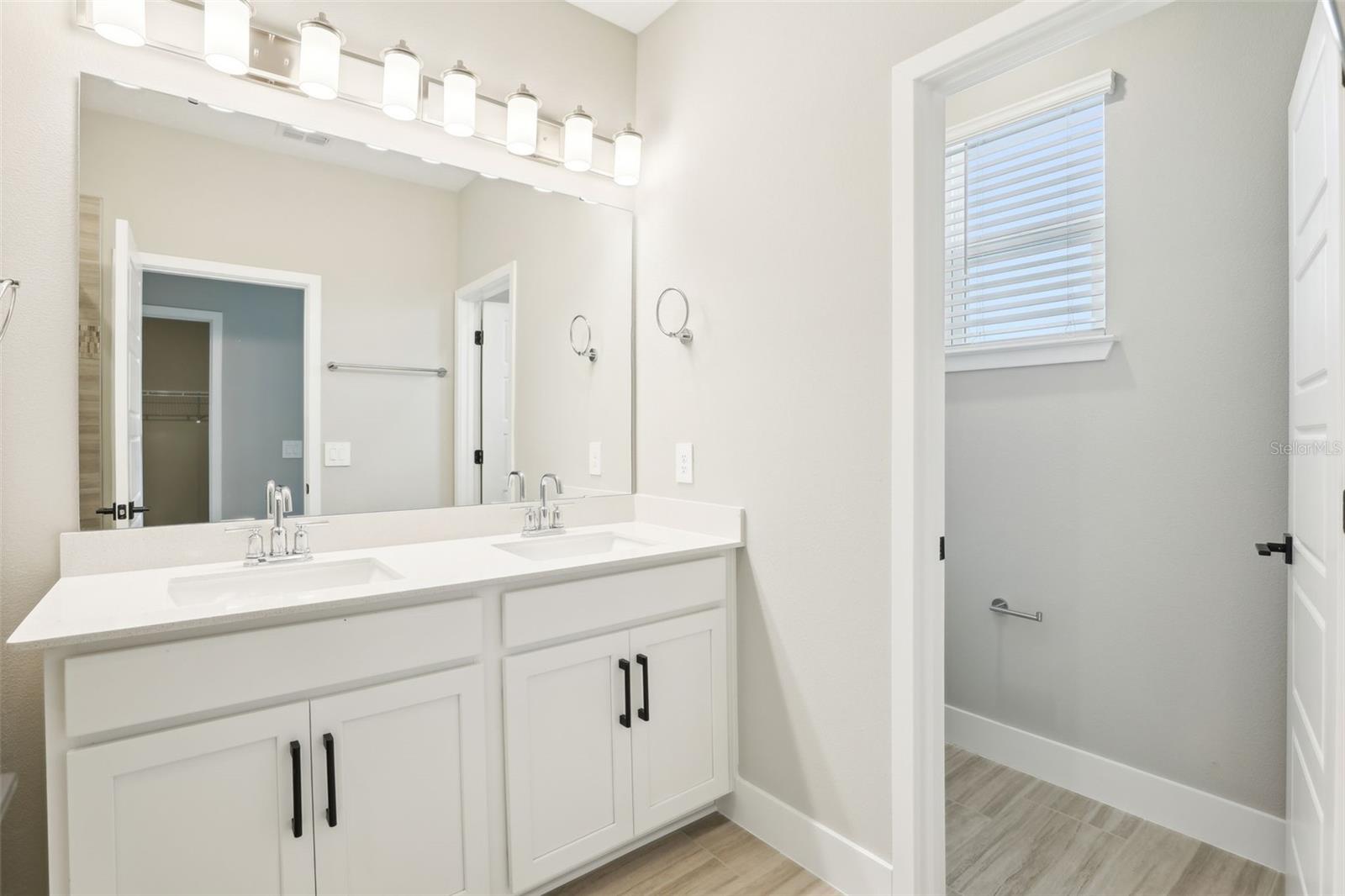5106 RAILROAD VINE ALY, WINTER GARDEN, FL, 34787