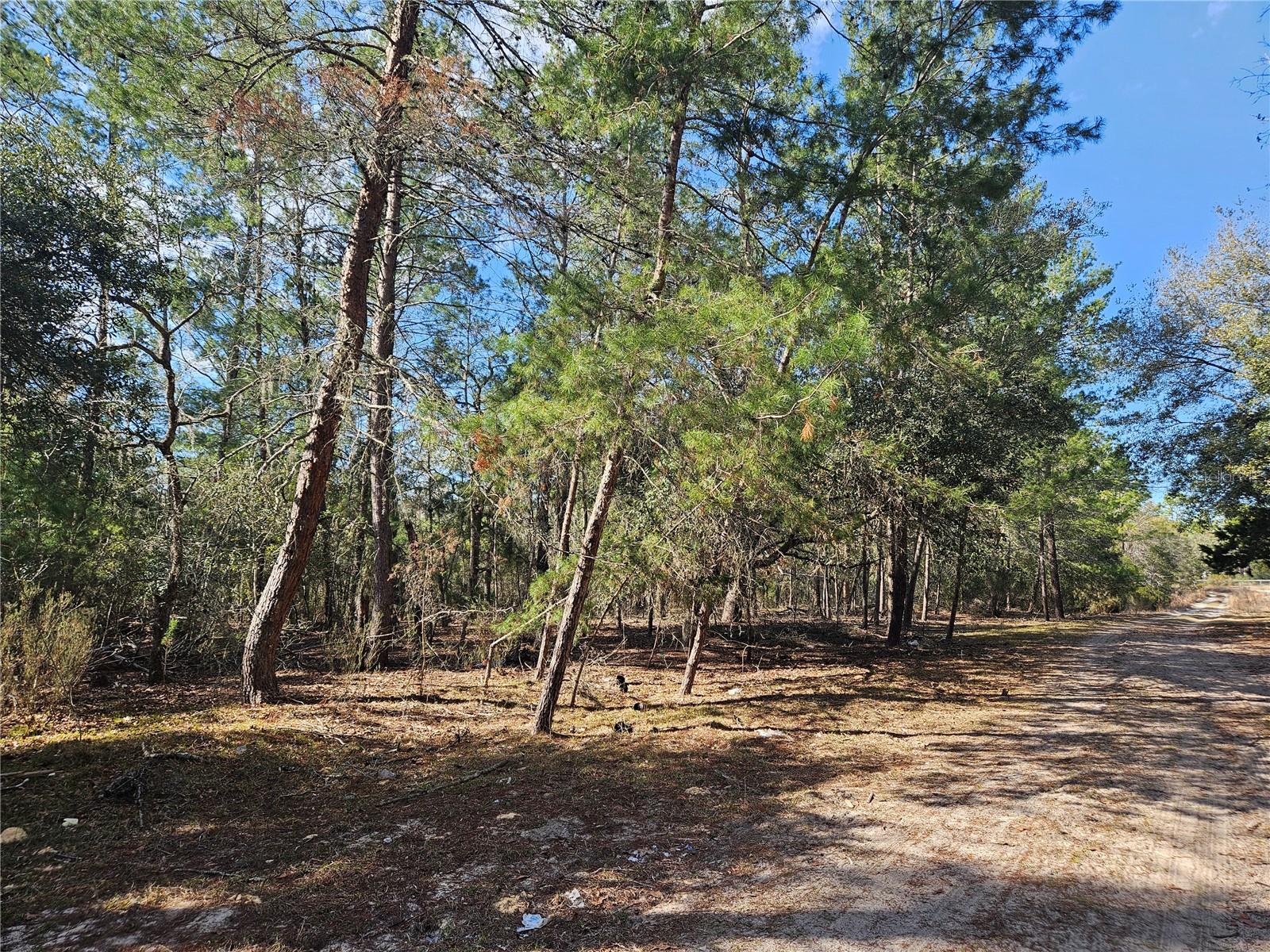 11391 SE 4TH ST, WILLISTON, FL, 32696