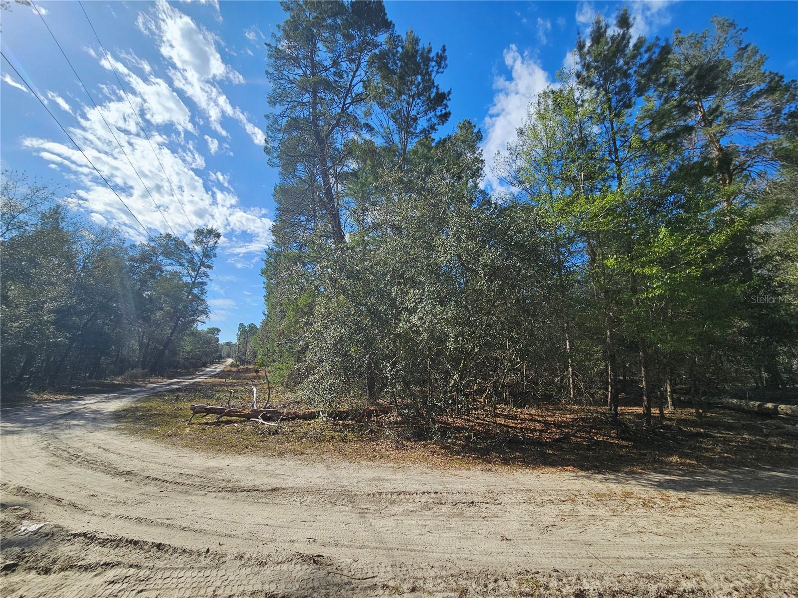 11391 SE 4TH ST, WILLISTON, FL, 32696