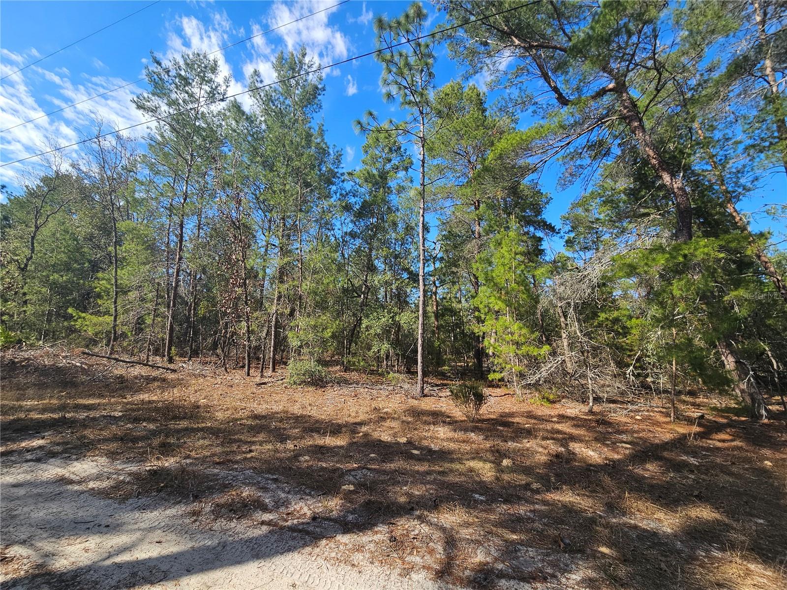 11391 SE 4TH ST, WILLISTON, FL, 32696