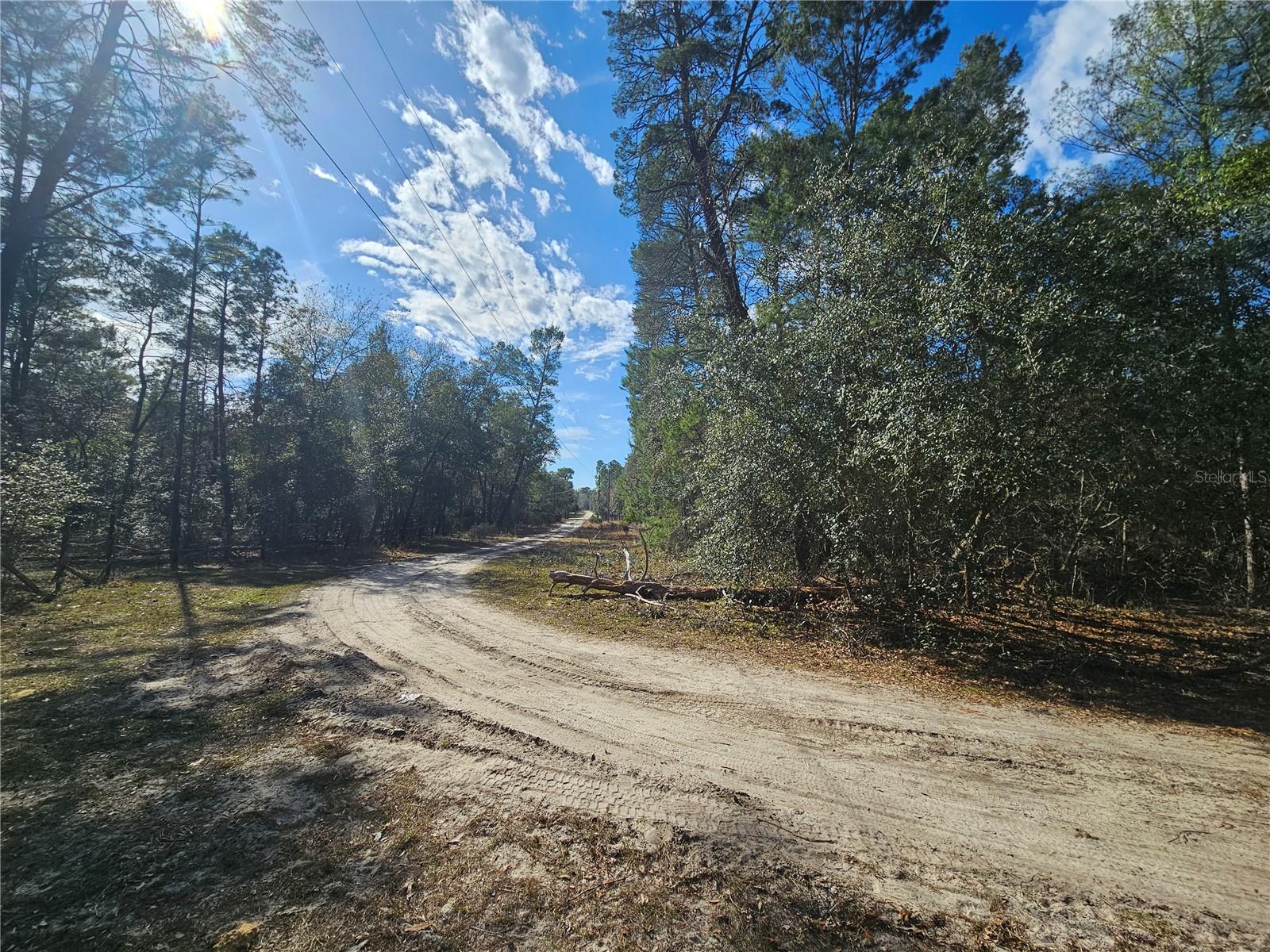 11391 SE 4TH ST, WILLISTON, FL, 32696