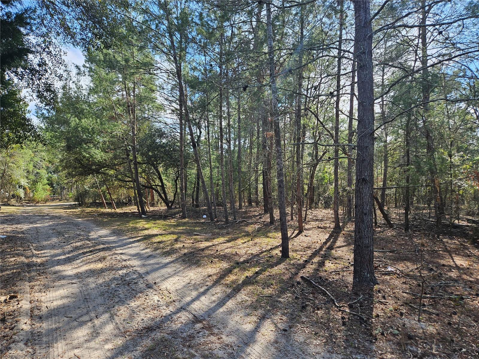11391 SE 4TH ST, WILLISTON, FL, 32696