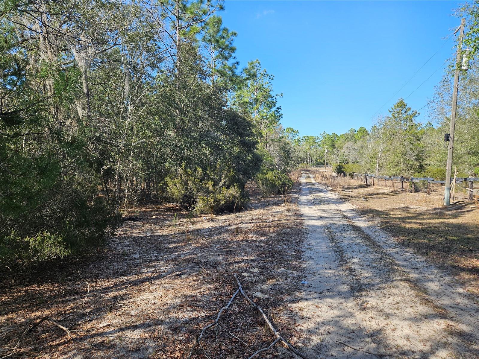 11391 SE 4TH ST, WILLISTON, FL, 32696