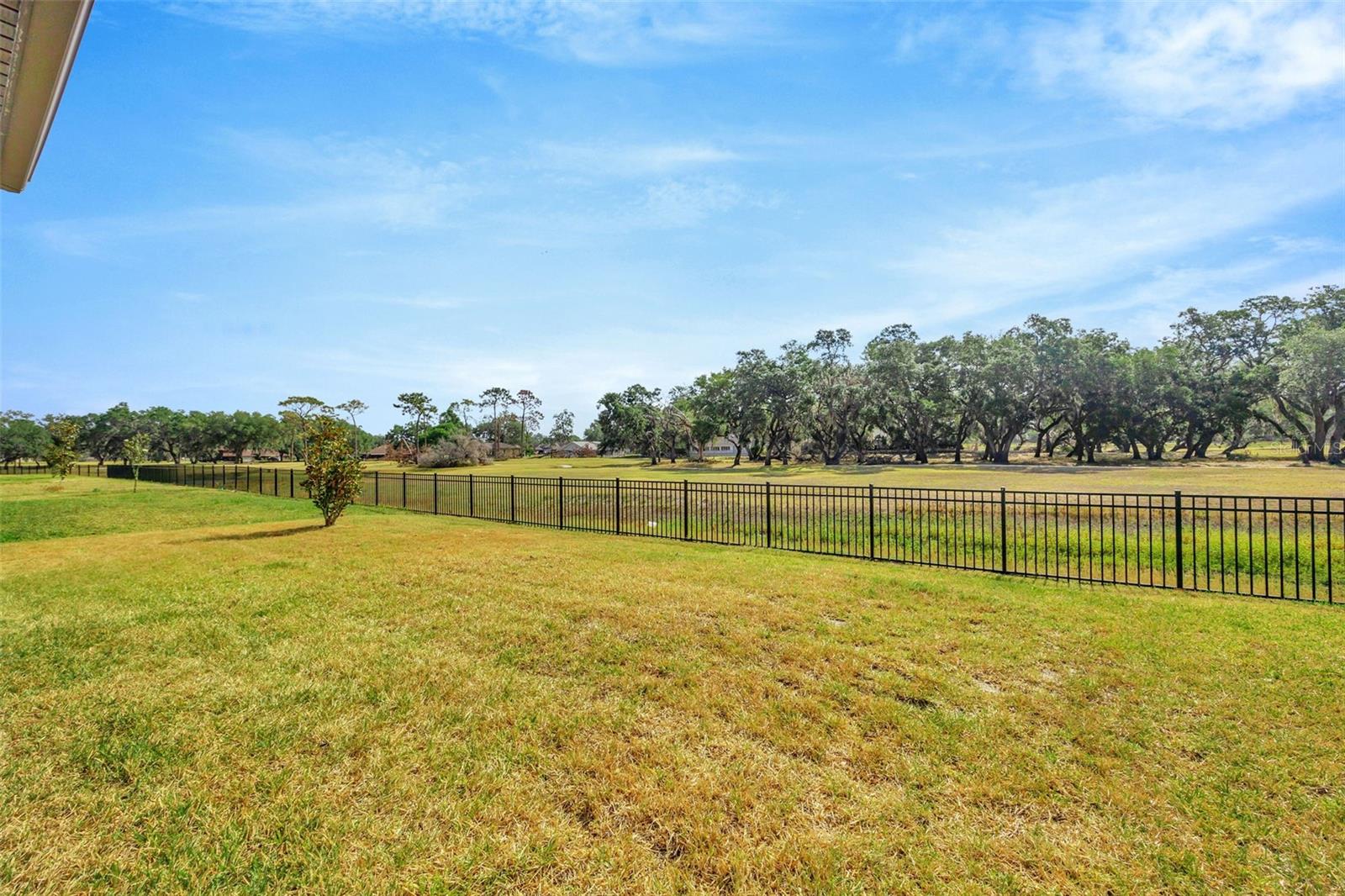 6398 BRADFORD WOODS DRIVE, ZEPHYRHILLS, FL, 33542