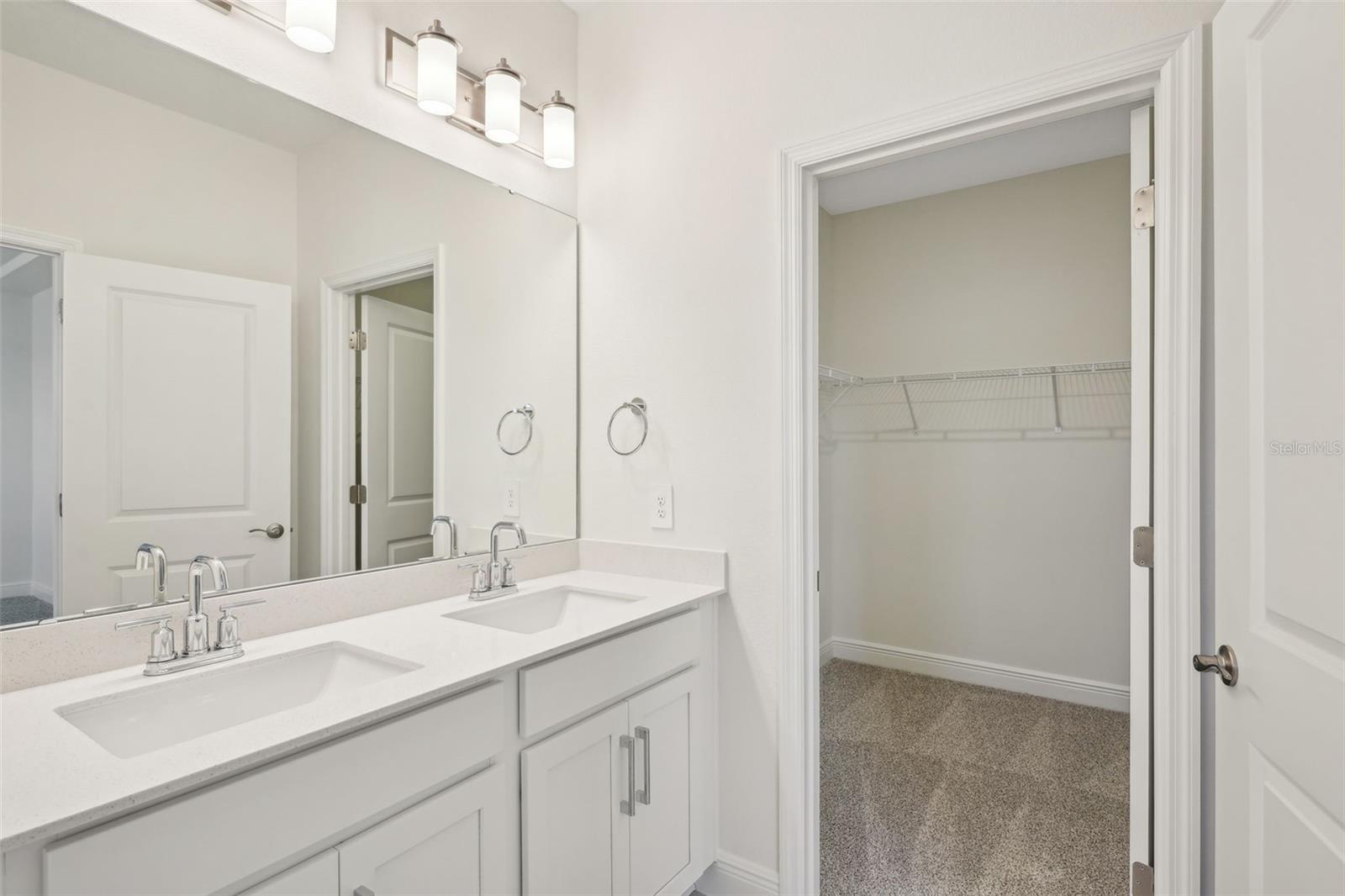 5099 RAILROAD VINE ALY, WINTER GARDEN, FL, 34787
