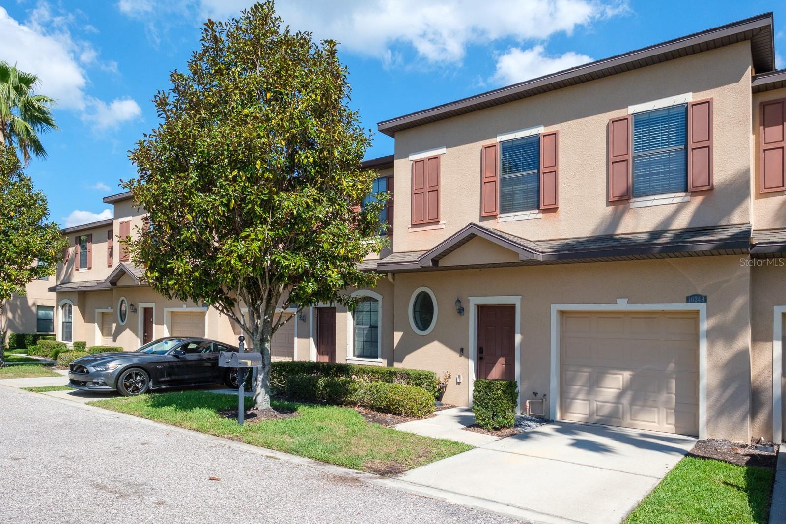 10249 VILLA PALAZZO CT, TAMPA, FL, 33615