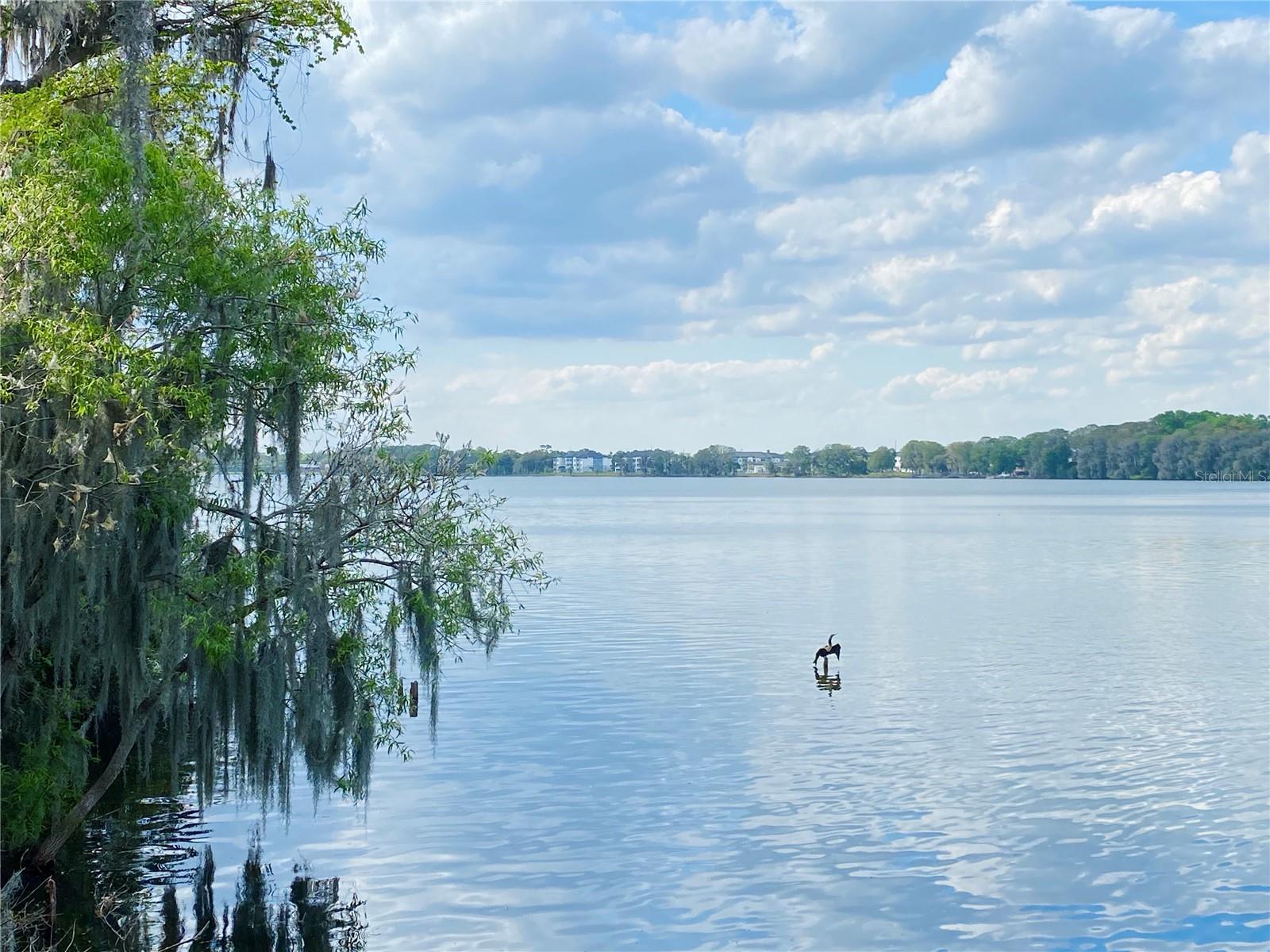 2348 KESTREL PERCH PL, WINTER PARK, FL, 32792