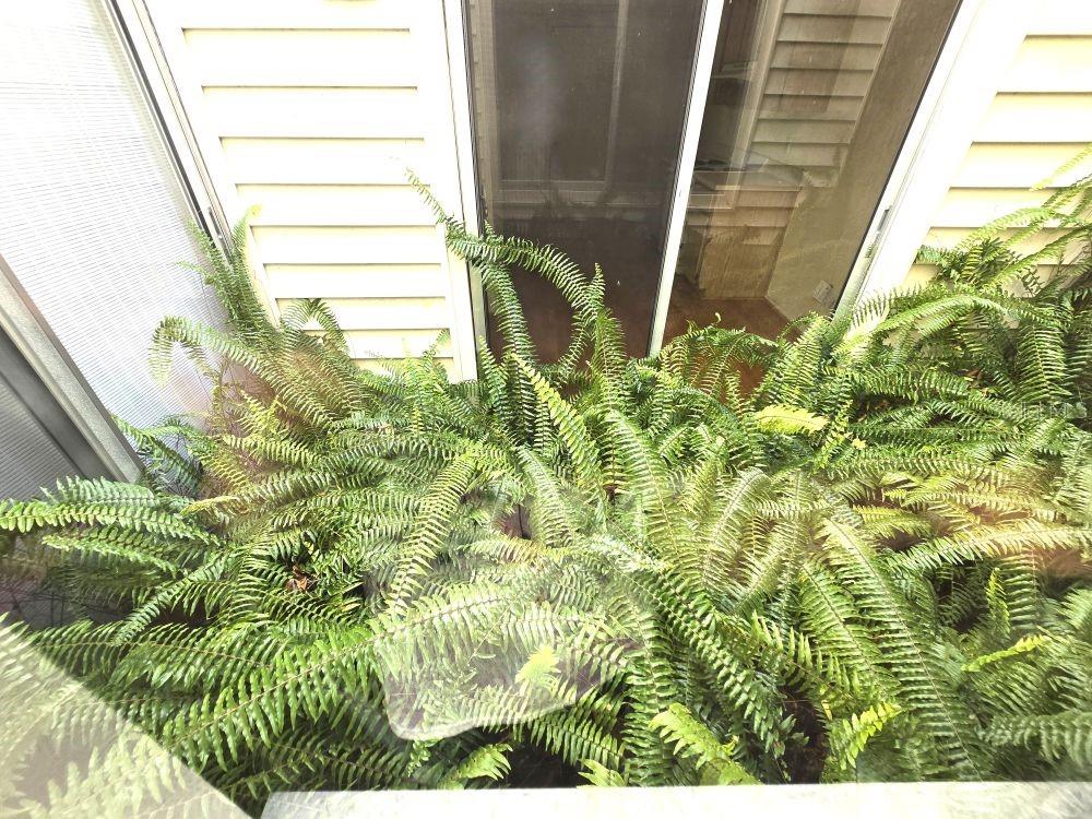2452 ATRIUM CIR, ORLANDO, FL, 32808