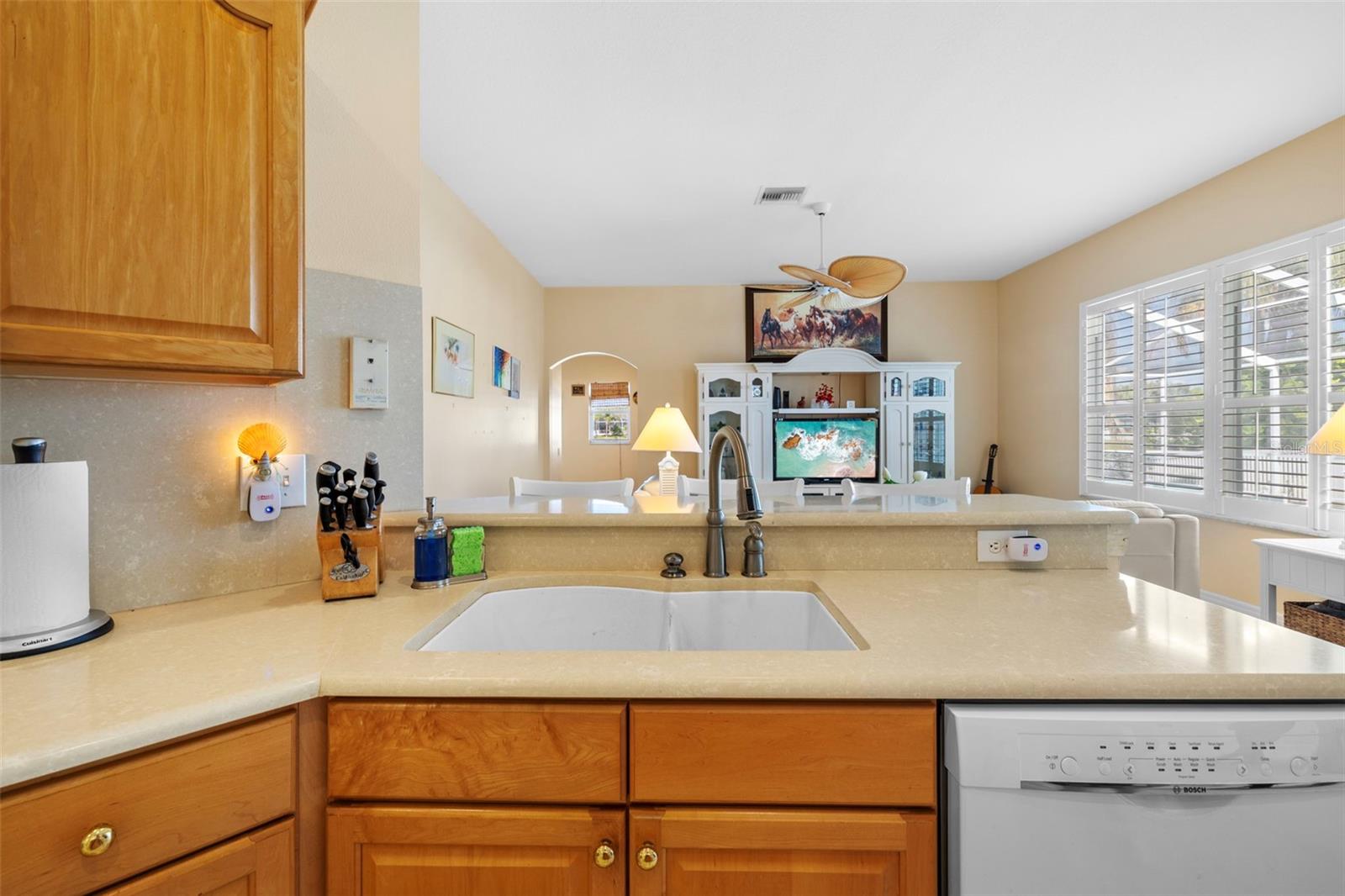 5117 SPECTACULAR BID DR, WESLEY CHAPEL, FL, 33544
