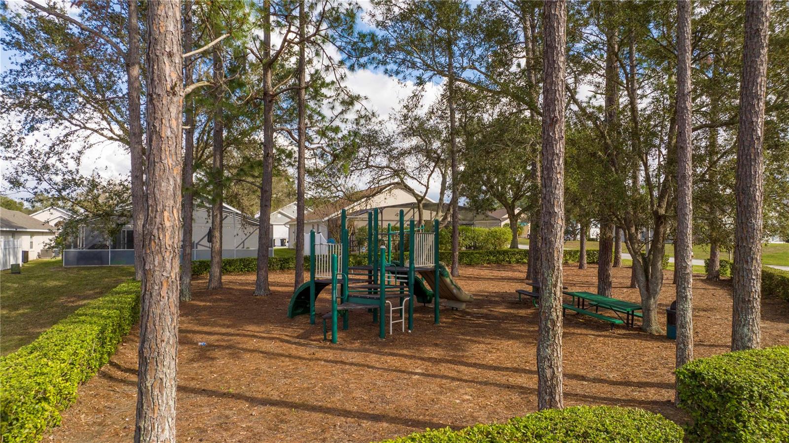 153 LAUREL RIDGE PASS, DAVENPORT, FL, 33897