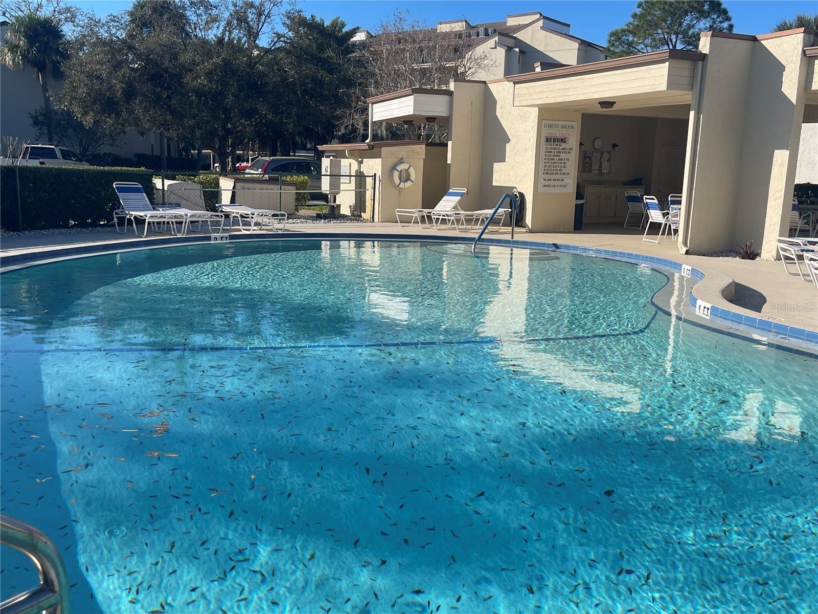700 STARKEY RD #1525, LARGO, FL, 33771