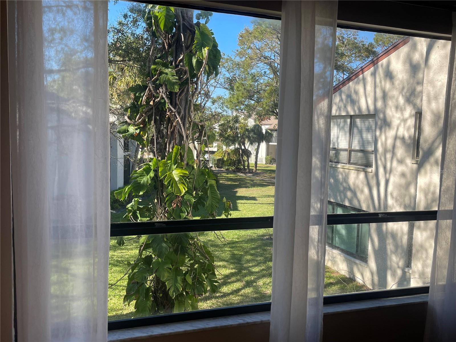 700 STARKEY RD #1525, LARGO, FL, 33771