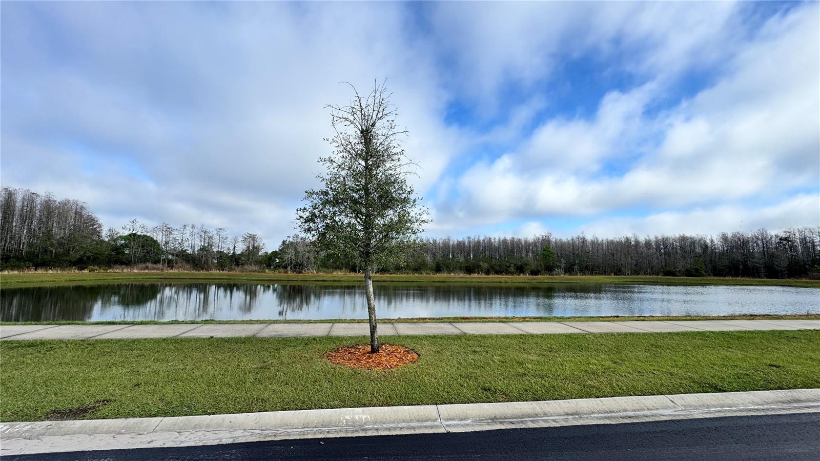 3182 EAGLE HAMMOCK CIR, KISSIMMEE, FL, 34743