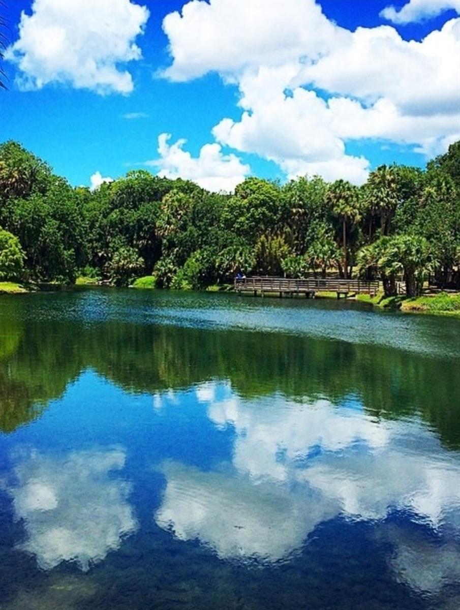 224 MANSION BLVD, DEBARY, FL, 32713