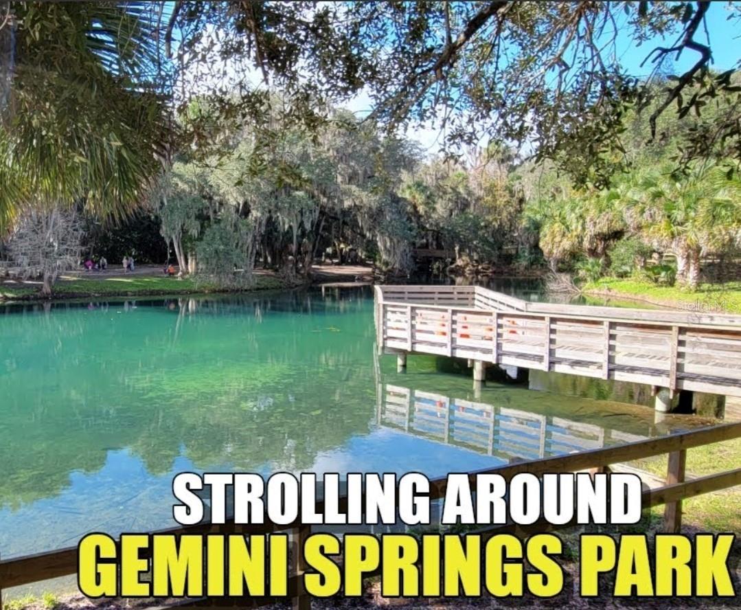 224 MANSION BLVD, DEBARY, FL, 32713