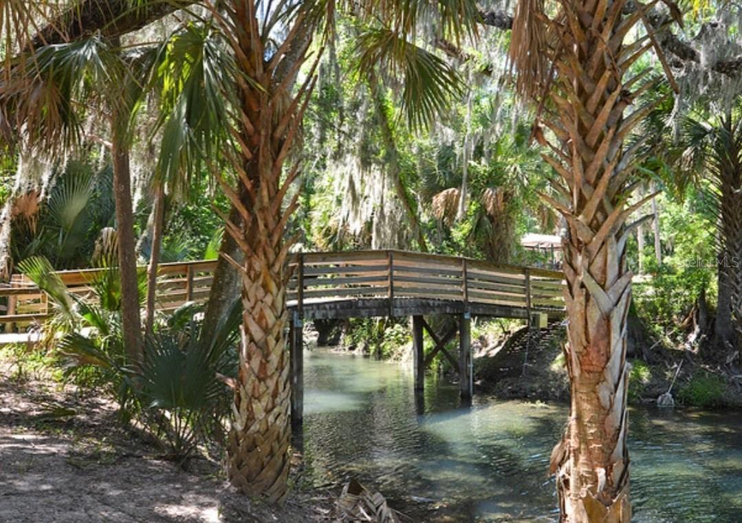 224 MANSION BLVD, DEBARY, FL, 32713