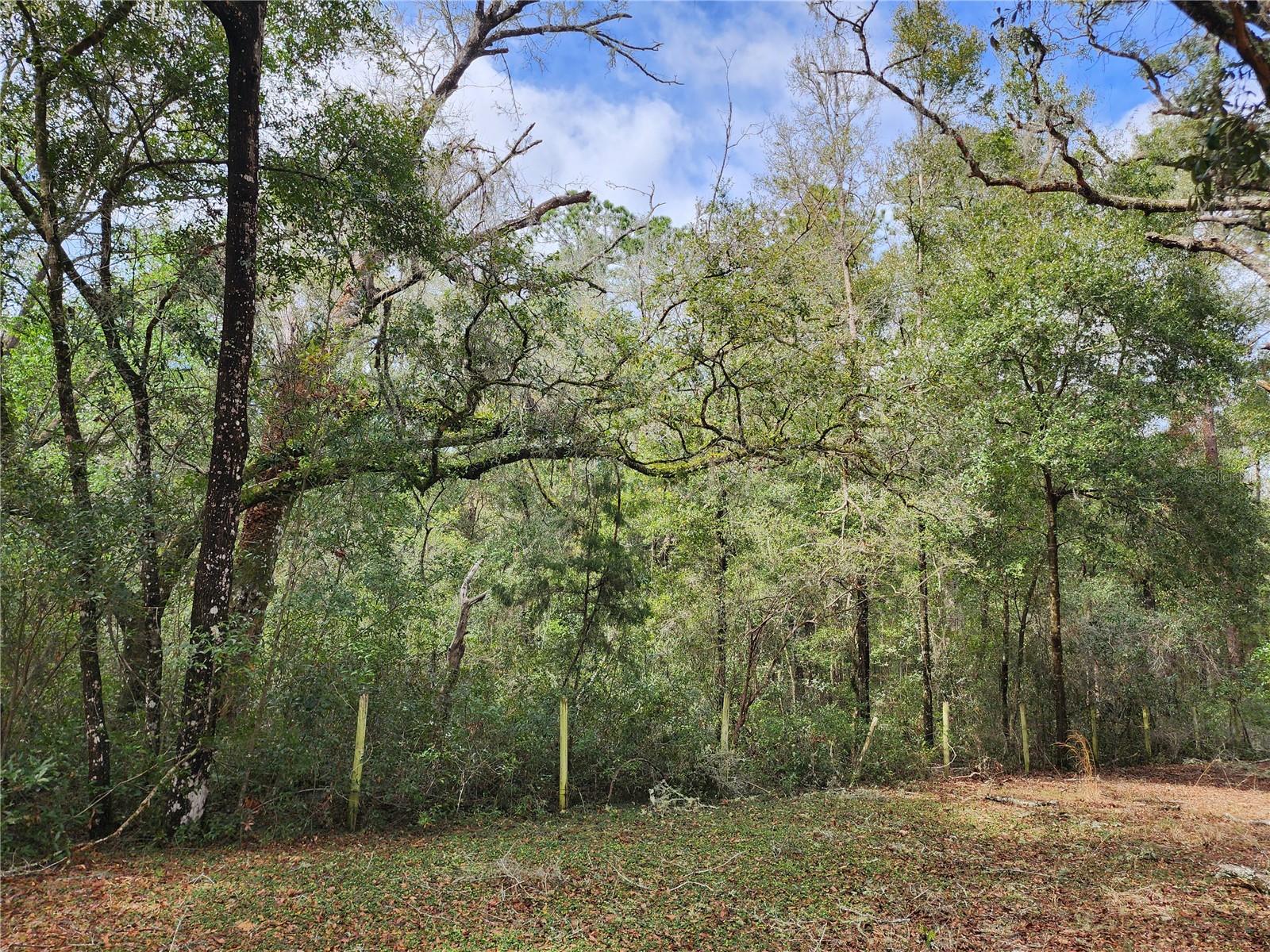 11065 SW 120TH AVE, DUNNELLON, FL, 34432